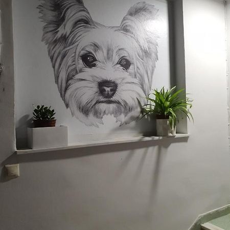 Larry'S Little Place In The Center Of Gytheio Exterior foto
